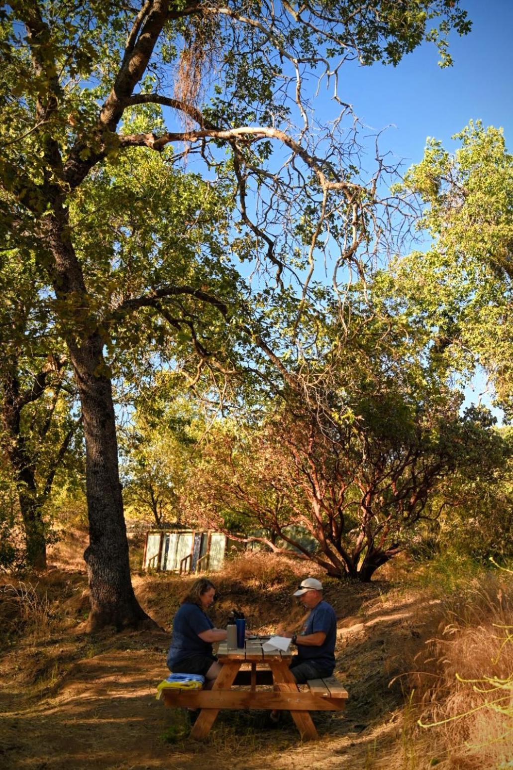 Campground At Sequoia Mountain Farms - Bring Your Own Tent Or Rv - No Bedrooms Or Beds Provided Miramonte Esterno foto